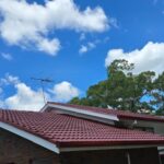 IMG-20250201-WA0001 (1)